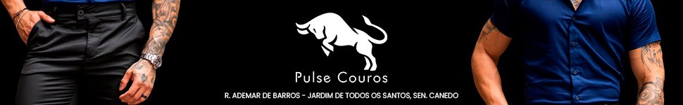 Pulse Couros - 970x150