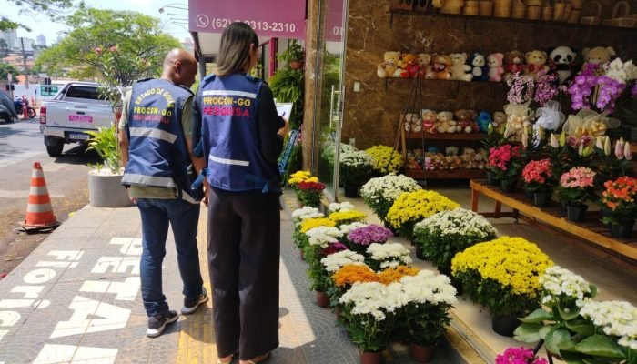 PROCON_PESQUISA_DE_PRECOS_DIA_DE_FINADOS-1536x864