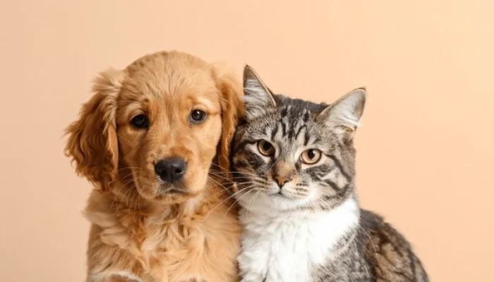 gato-y-perro-posando-tranquilamente-600nw-2632471447